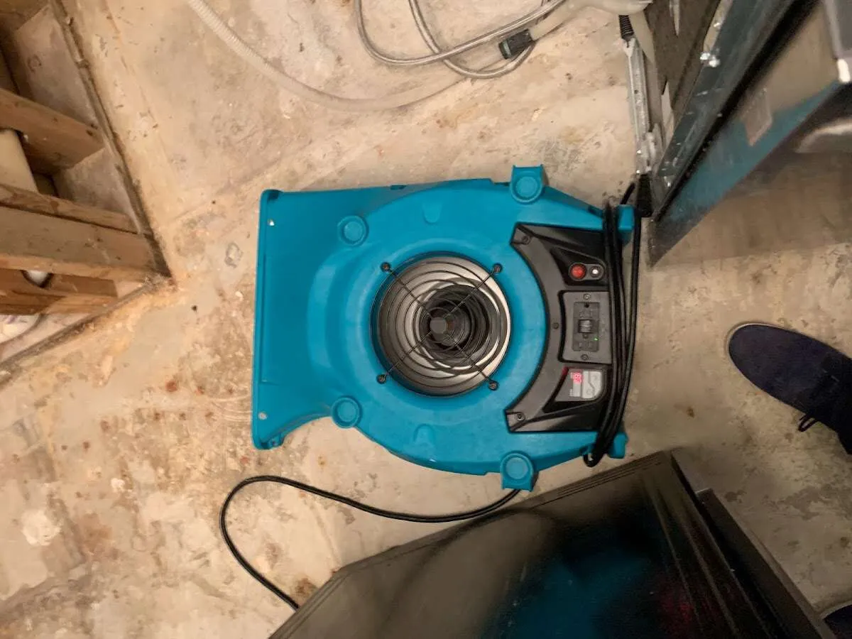 Air mover drying equipment for Mold Remediation & Removal in Roseland